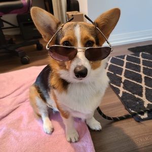 Meet your Posher, Lola